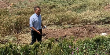 CHP’li Sarıbal: Tedbir alınsaydı afet yaşanmazdı