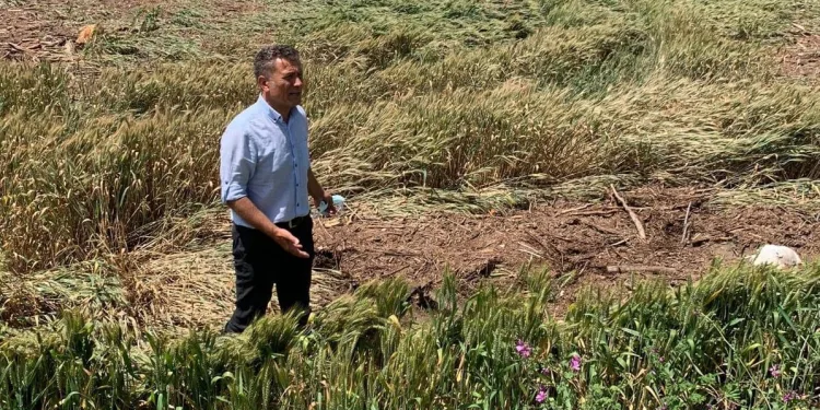 CHP’li Sarıbal: Tedbir alınsaydı afet yaşanmazdı