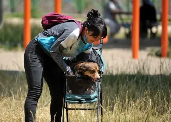 Kök hücre nakliyle tekrar yürümeye başladı