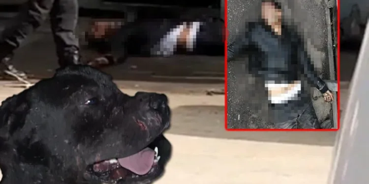 Tecavüz girişiminde bulundu, iki ay sonra serbest kaldı