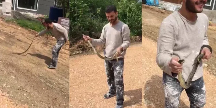 Bursa’da yolda bulduğu yılanla oyuncak gibi oynadı