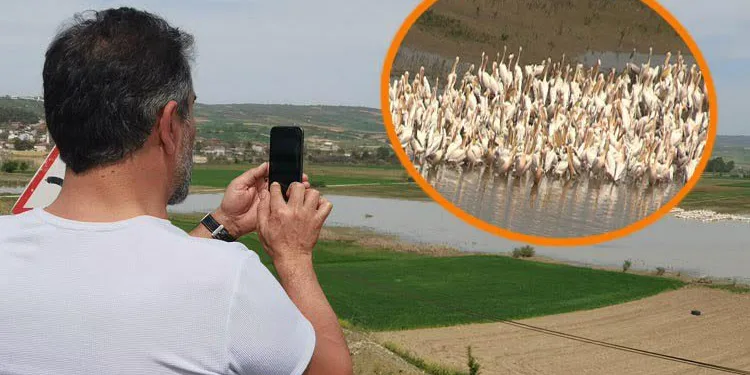 Yüzlercesi Bursa’ya geldi görenler telefonuna sarıldı