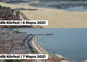 Gemlik Körfezi eski görüntüsüne dönüyor