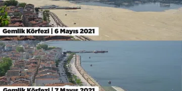 Gemlik Körfezi eski görüntüsüne dönüyor