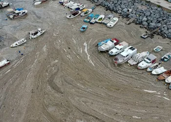 Bakanlıktan valiliklere müsilaj genelgesi