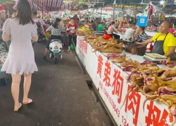 60’tan fazla köpek mezbahadan kurtarıldı