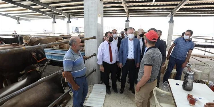 İnegöl’de kurbanlıklar satışa çıktı