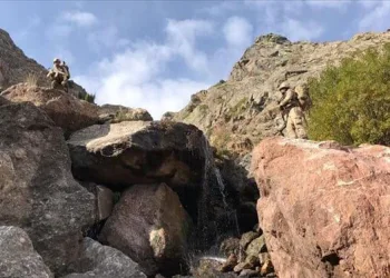 Bakanlık duyurdu… Bitlis’ten acı haber