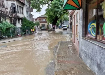 Bursa’nın Gemlik ve Mudanya ilçesi sele teslim