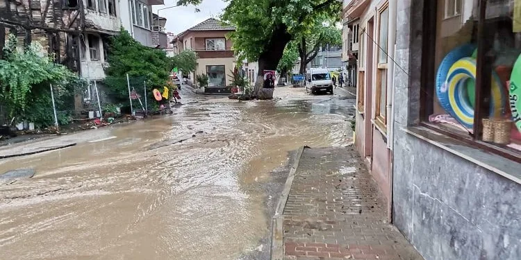 Bursa’nın Gemlik ve Mudanya ilçesi sele teslim