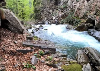 Bursa’nın saklı cenneti: Tozuyan Şelalesi