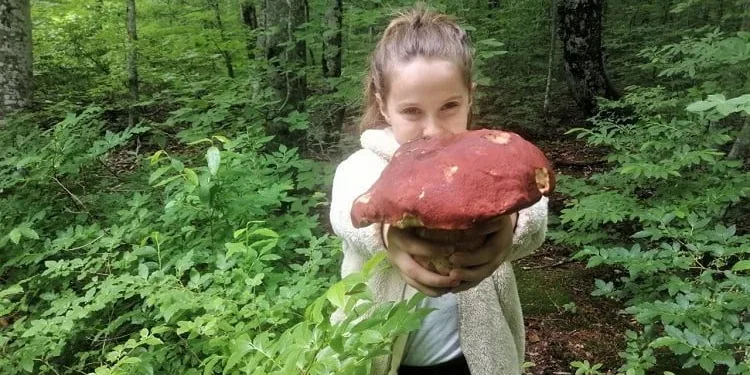 Bir günde 20 kilo topluyorlar