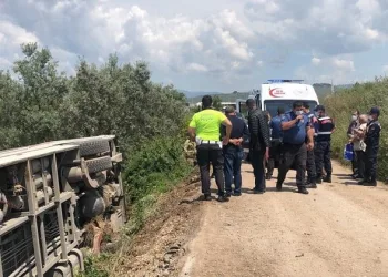 Bursa’da midibüs zeytinliğe uçtu! 15 kişi ölünden döndü