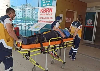 Bursa’da asma ağacından düşen çiftçi yaralandı