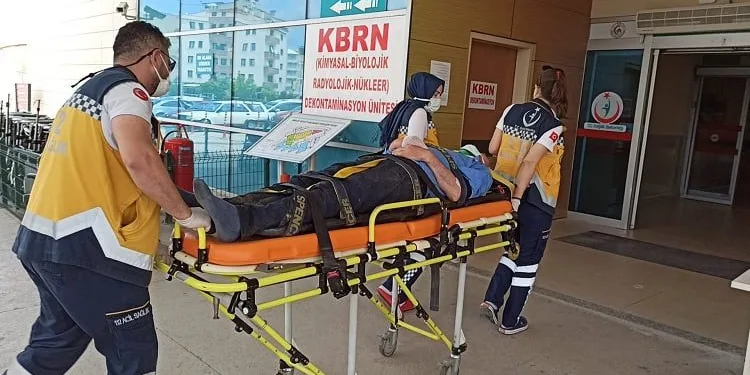 Bursa’da asma ağacından düşen çiftçi yaralandı