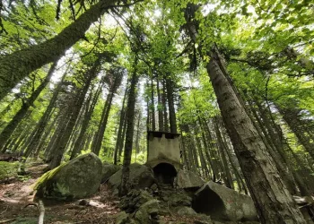 ‘Uludağ Tarzanı’nın evi ilk günkü gibi duruyor
