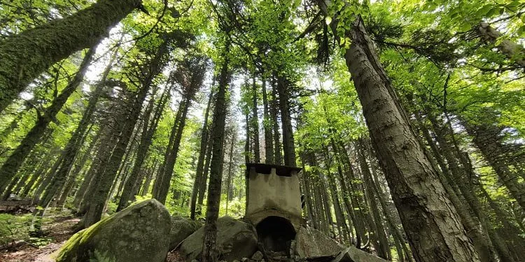‘Uludağ Tarzanı’nın evi ilk günkü gibi duruyor