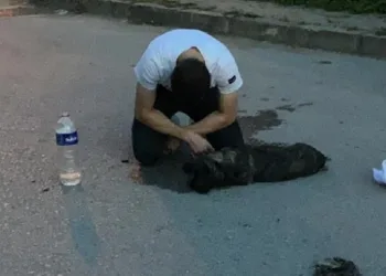 Bursa’da araba çarptı! Bir an olsun yanından ayrılmadı