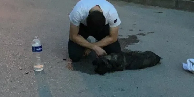 Bursa’da araba çarptı! Bir an olsun yanından ayrılmadı