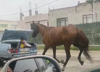 Bursa’da bu görüntüler cezasız kalmadı