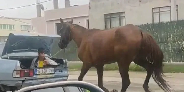 Bursa’da bu görüntüler cezasız kalmadı