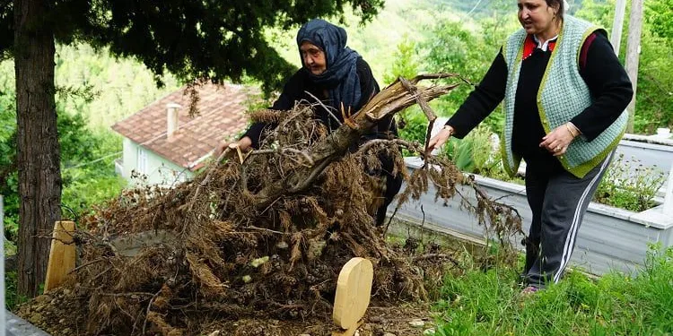 Köy halkı korku içinde! Mezar kazıp cesetleri yiyor