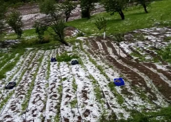 Bursa’yı dolu vurdu ekinler zarar gördü