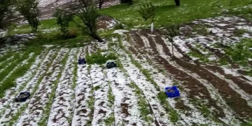 Bursa’yı dolu vurdu ekinler zarar gördü