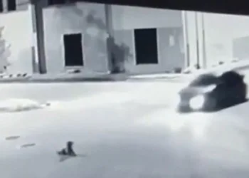 Bursa’da yolda yatan köpeğin üzerinden geçti