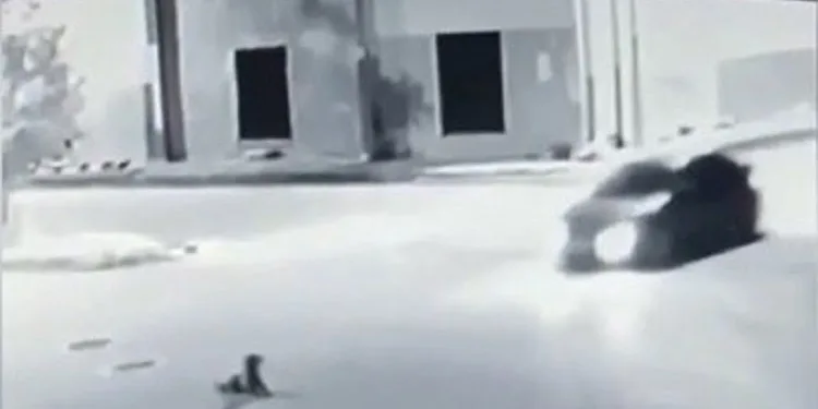 Bursa’da yolda yatan köpeğin üzerinden geçti