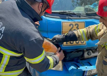 Bursa’da aracın motoruna giren yılan korkuttu