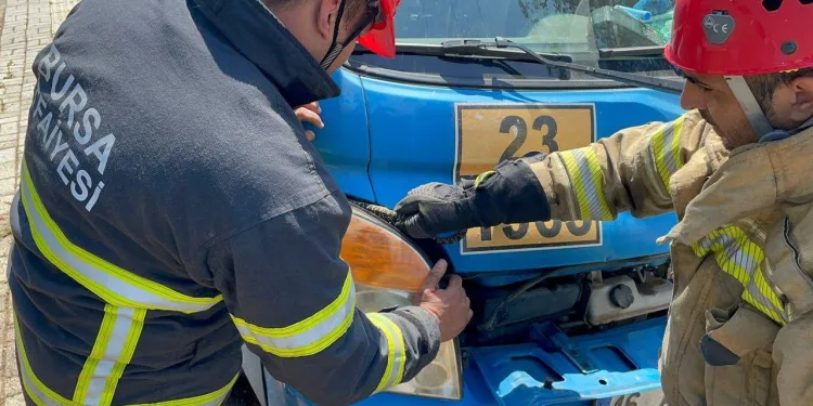 Bursa’da aracın motoruna giren yılan korkuttu