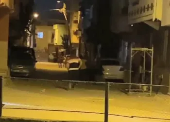 Çocukların çöp kavgasında aileler birbirine girdi