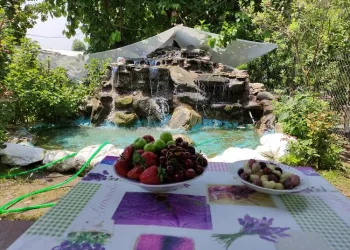 Bursa’da meyvelerle donattığı bahçesini turistlere açtı