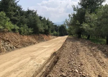 Bursa Nilüfer’de ağaçların kesilmesine tepki