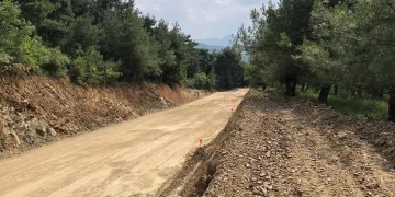 Bursa Nilüfer’de ağaçların kesilmesine tepki