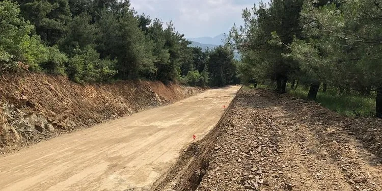 Bursa Nilüfer’de ağaçların kesilmesine tepki