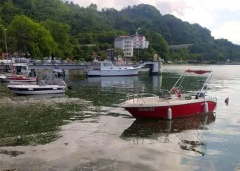 Deniz salyası Karadeniz’e de sıçradı