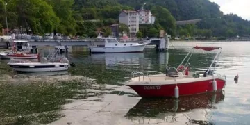 Deniz salyası Karadeniz’e de sıçradı