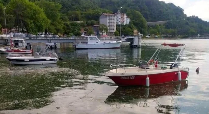 Deniz salyası Karadeniz’e de sıçradı