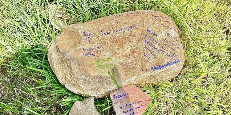 Taşa ‘tecavüz ediliyorum’ yazmıştı! Detaylar ortaya çıktı