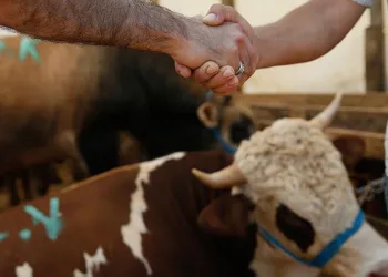 Kurban Bayramı tarihi ne zaman? 2021 Kurban Bayramı tatili kaç gün olacak?