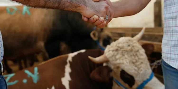 Kurban Bayramı tarihi ne zaman? 2021 Kurban Bayramı tatili kaç gün olacak?