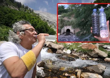 Kaynağı içilebilecek kadar temiz… Nilüfer Çayı bu halde