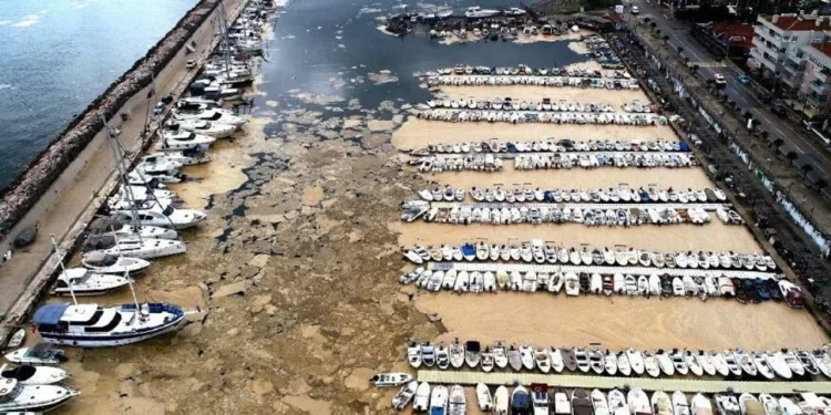 Marmara Denizi’ni kurtaracak eylem planı açıklandı