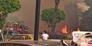 Antalya Manavgat’ta büyük yangın