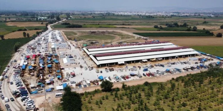 Modern hayvan pazarı ilk bayramda yüzleri güldürdü