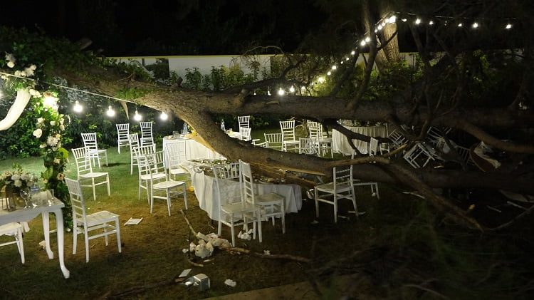 Kır düğününde ağaç devrildi! Çok sayıda kişi yaralı