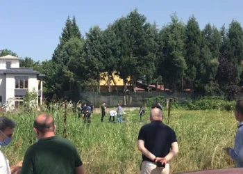 Başsız cesetlerin bulunduğu cinayette 1 tutuklama