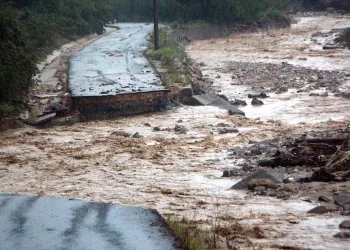 Düzce’yi sel vurdu! 47 kişi kurtarıldı 88 kişi tahliye edildi